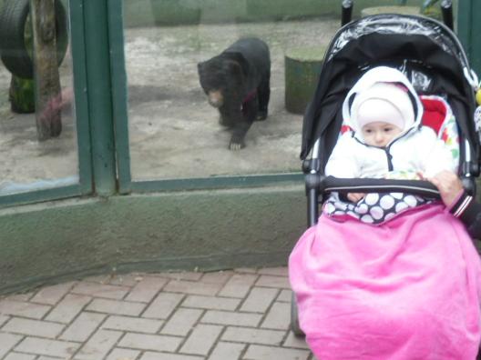Zoo Olomouc