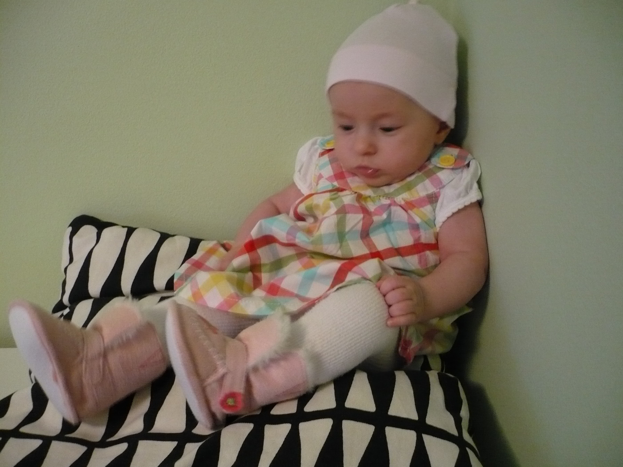 p1050074.jpg
